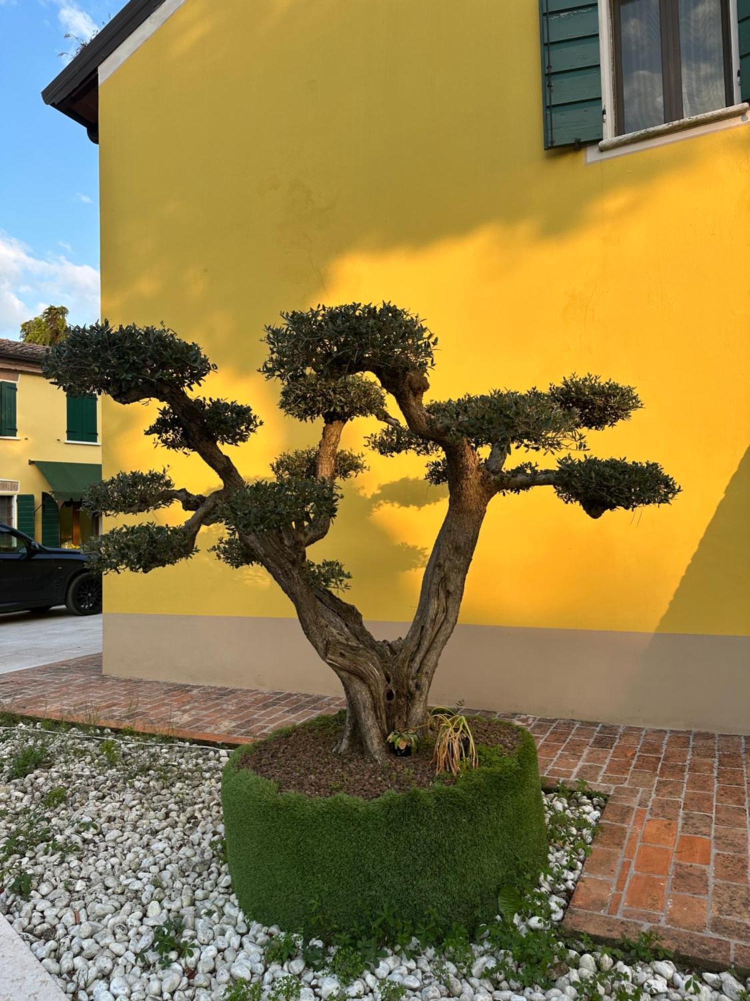 Agriturismo Corte Capiluppia Curtatone Bagian luar foto